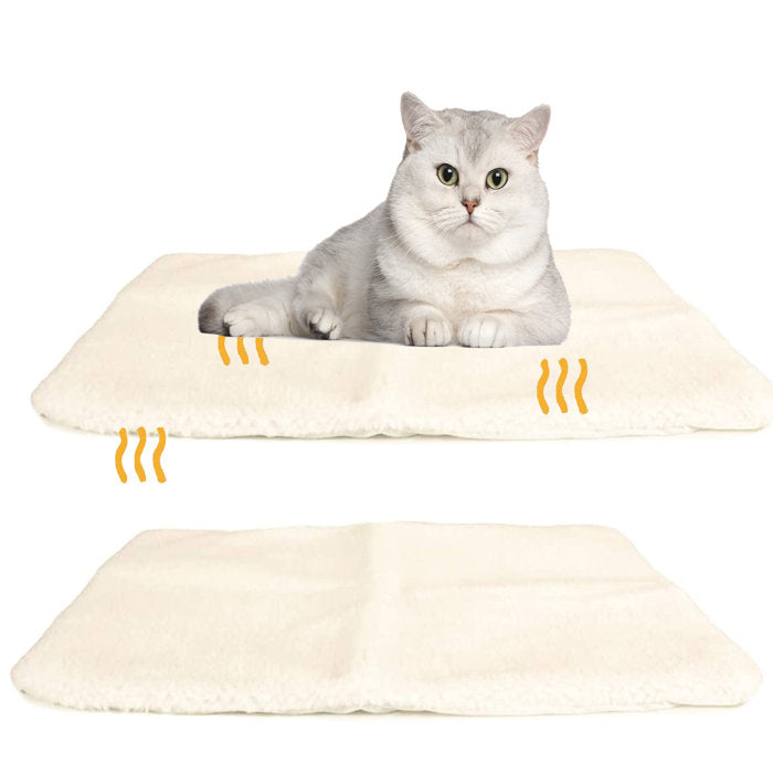 Self heating cat bed best sale