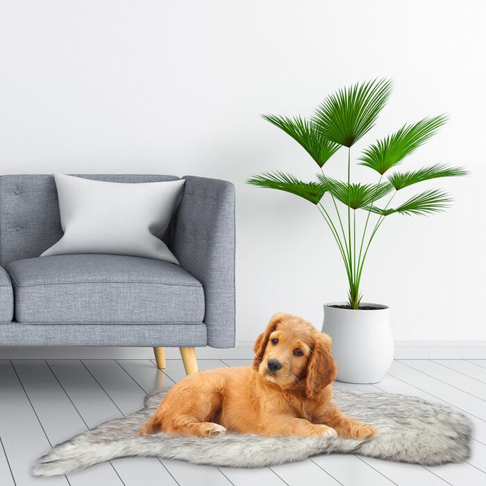 Stallard Luxe Fur Dog Mat/Pad